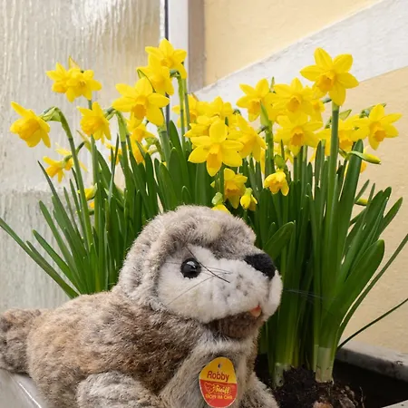 Apartament Seebaedervilla Kehrwieder - Nordsee